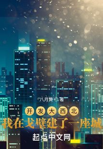 Developing the Northwest: I built a city in the Gobi