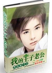 My Prince's Husband